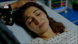 Pal Do Pal - Episode 85 - 17th November 2025